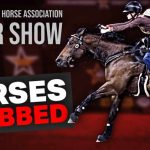 Horses Attacked at NBHA Vegas Super Show