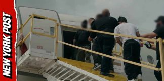 DHS Releases New Footage Showing Migrant Deportation Flight