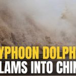 Typhoon Dolphin LIVE | Powerful Storm Slams China's Zhejiang Coast With Heavy Rain And Violent Winds