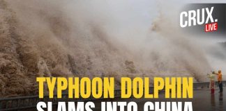 Typhoon Dolphin LIVE | Powerful Storm Slams China's Zhejiang Coast With Heavy Rain And Violent Winds