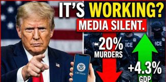 Trump’s "Safety Surge": Did Mass Deportations Cause a 20% Crime Drop?