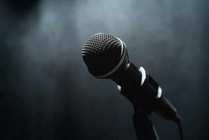 Microphone on a stand against a dark blurred background