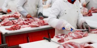 ICE Crackdown Hits America’s Beef Supply Butchers cutting raw meat on processing line