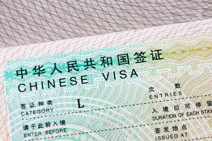 Chinese visa document close-up