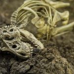 Dinosaur Evolution UPENDED by Ancient Skull Dinosaur skeleton partially buried in dirt