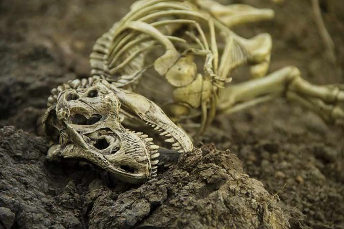 shutterstock_659730868 Dinosaur skeleton partially buried in dirt