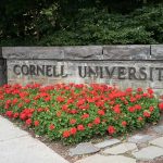 Cornell Case Exposes SHOCKING Rape Law Gap Cornell University stone sign with red flowers